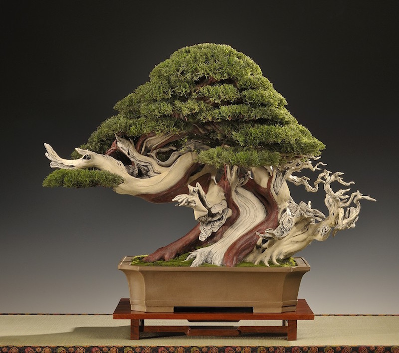 https://www.bonsaiempire.fr/images/advanced/artificial/paul-finch-artificial-bonsai.jpg